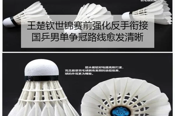 王楚钦世锦赛前强化反手衔接 国乒男单争冠路线愈发清晰
