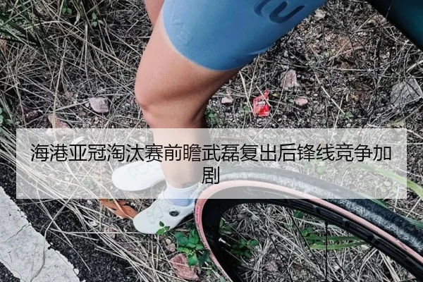 海港亚冠淘汰赛前瞻武磊复出后锋线竞争加剧