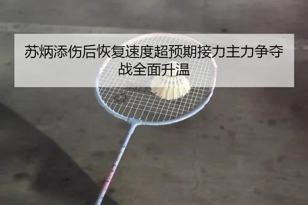 苏炳添伤后恢复速度超预期接力主力争夺战全面升温